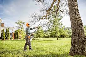 Lawn Watering Services in Rutgers University Livingston Campus, NJ